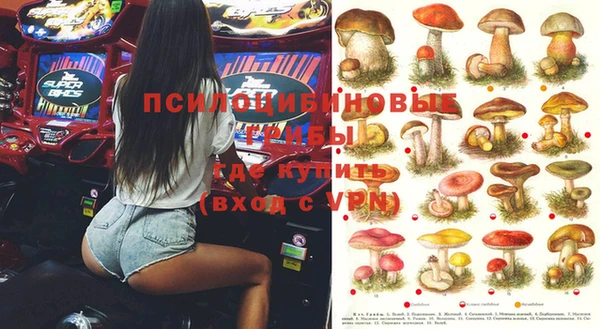 ешки Аркадак
