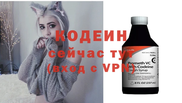 хмурый Арсеньев
