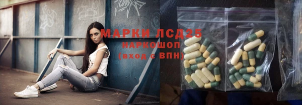 ешки Аркадак