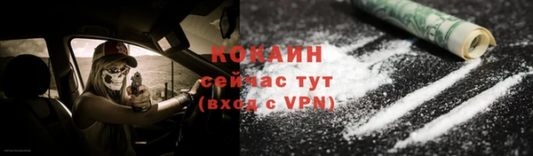 хмурый Арсеньев