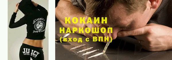 хмурый Арсеньев