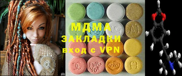 хмурый Арсеньев