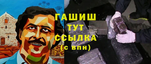 хмурый Арсеньев