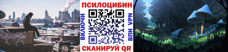 закладка  Белёв  Псилоцибиновые грибы Magic Shrooms 